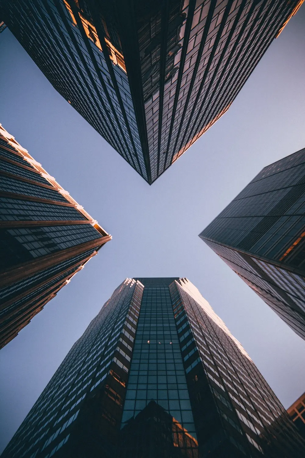 Dirigeants & Executives
